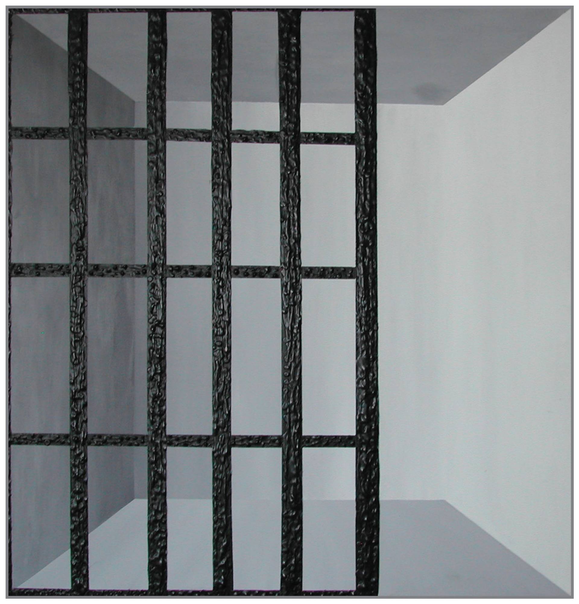 Prison Doors